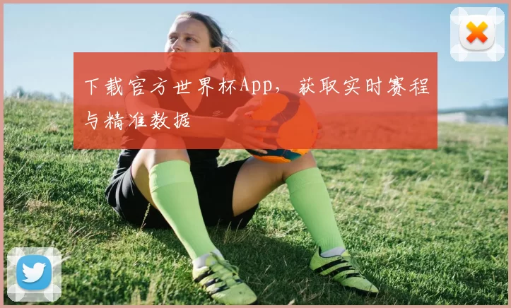 下载官方世界杯App，获取实时赛程与精准数据
