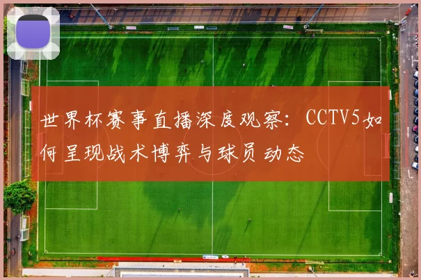 世界杯赛事直播深度观察：CCTV5如何呈现战术博弈与球员动态