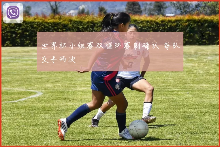 世界杯小组赛双循环赛制确认 每队交手两次