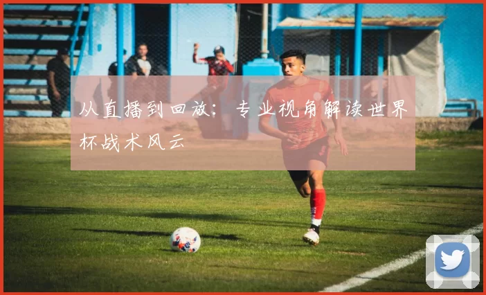 从直播到回放：专业视角解读世界杯战术风云