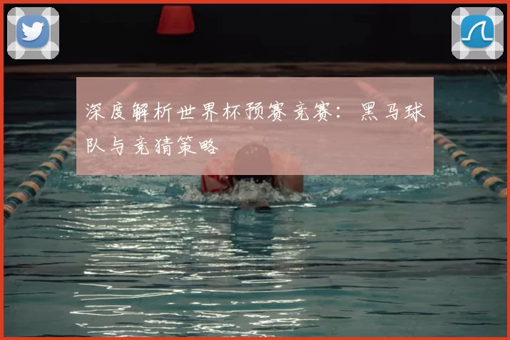 深度解析世界杯预赛竞赛：黑马球队与竞猜策略