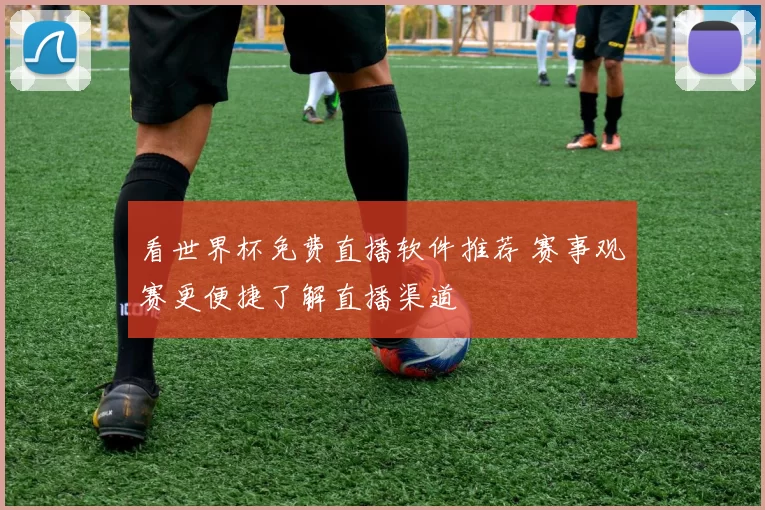 看世界杯免费直播软件推荐 赛事观赛更便捷了解直播渠道