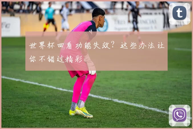 世界杯回看功能失效？这些办法让你不错过精彩